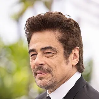 Benicio del Toro — birth chart
