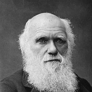 Portrait of Charles Darwin