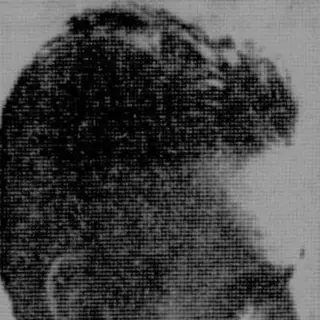Portrait of George Oppen