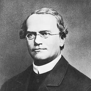 Portrait of Gregor Mendel
