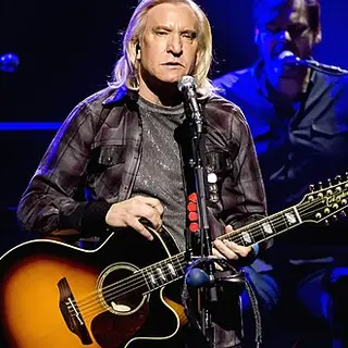 Portrait of Joe Walsh