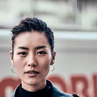 Portrait of Liu Wen