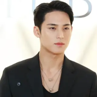 Portrait of Mingyu