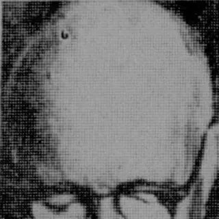 Portrait of René Dubos