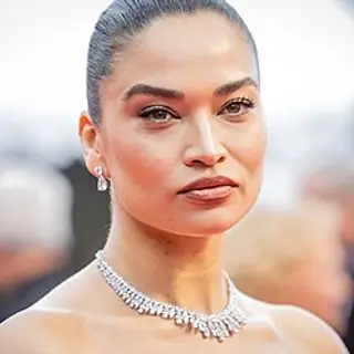 Shanina Shaik