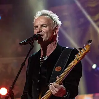 Portrait of Sting
