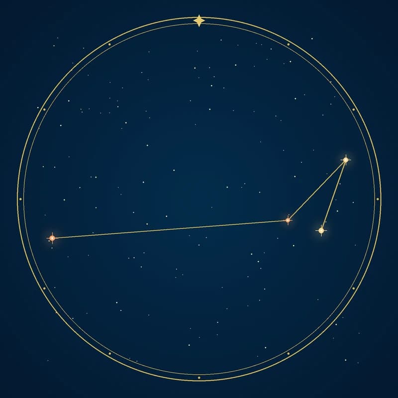 The constellation Apus, its stars sized by brightness and coloured by spectral type