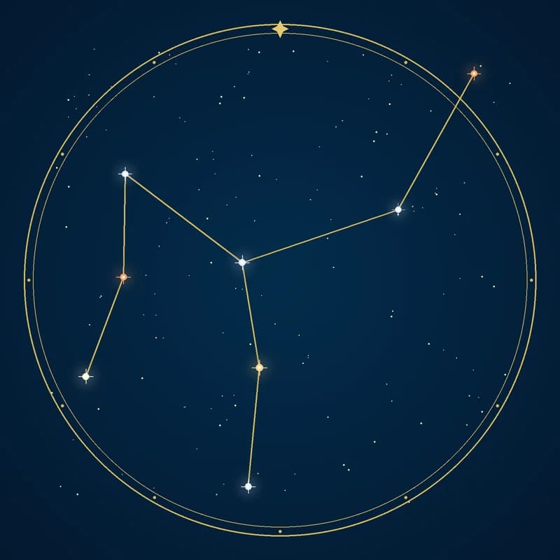 The constellation Camelopardalis, its stars sized by brightness and coloured by spectral type
