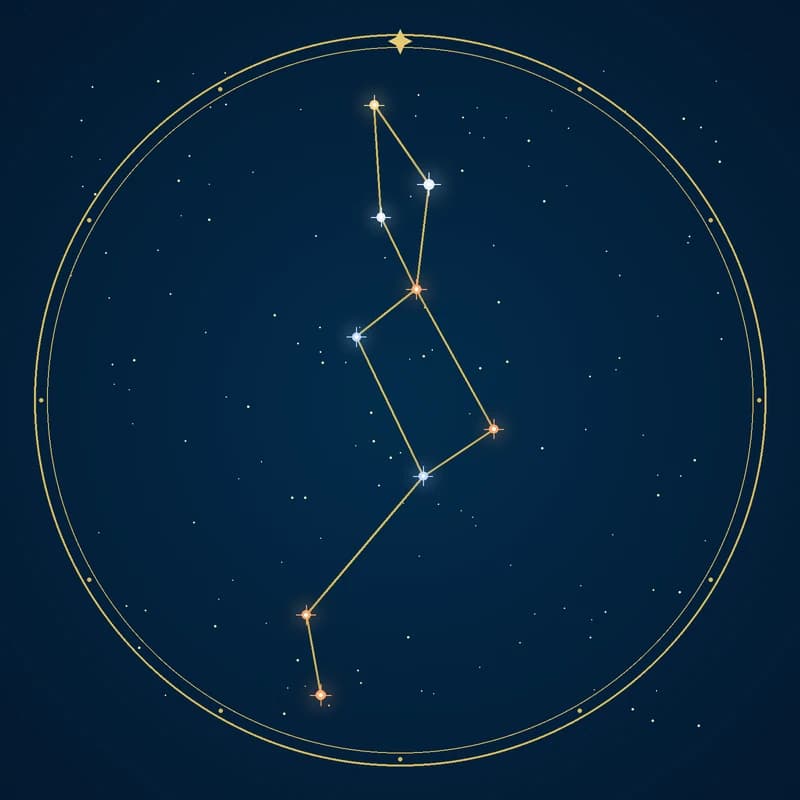 The constellation Lacerta, its stars sized by brightness and coloured by spectral type